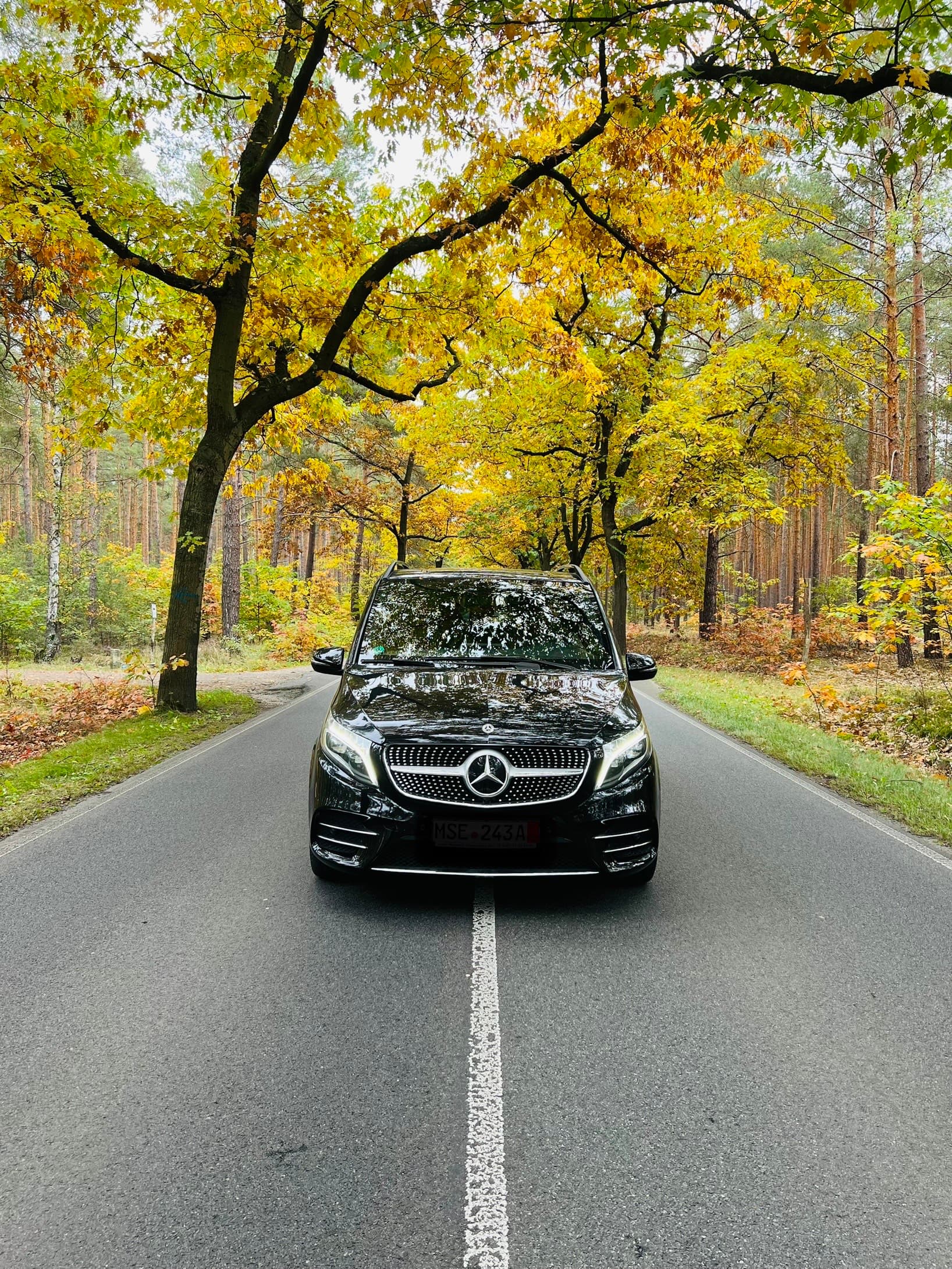 Crni Mercedes-Benz kombi na drvoredu sa jesenjim lišćem