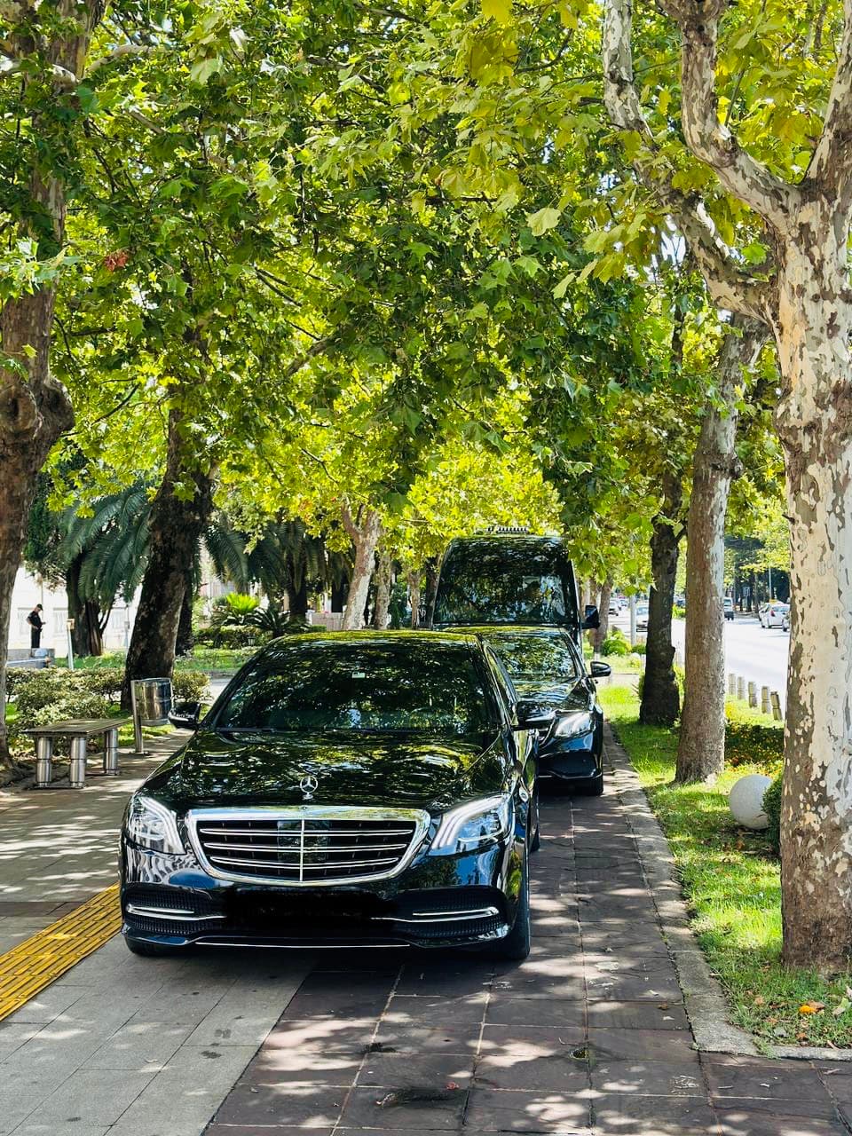 Crni Mercedes-Benz automobili parkirani ispod sjenovitih stabala na trotoaru